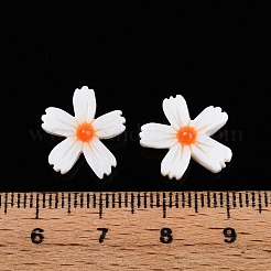 Natural Freshwater Shell Beads Strands&nbsp;X-SHEL-F004-04-01