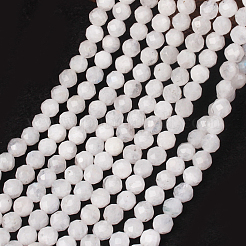 Natural Rainbow Moonstone Beads Strands&nbsp;G-G792-34B