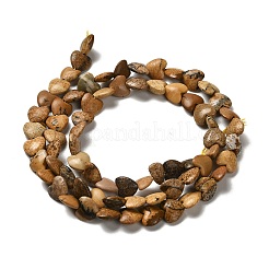 Natural Picture Jasper Beads Strands&nbsp;G-P575-C08-6mm