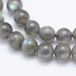 Natural Labradorite Beads Strands&nbsp;G-P336-19-7mm