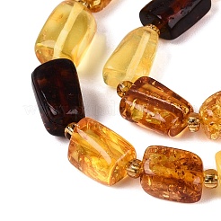 Natural Amber Beads Strands&nbsp;G-N371-14A-01