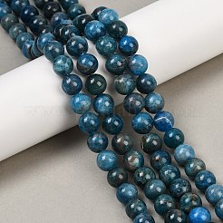 Natural Apatite Beads Strands&nbsp;G-I254-08D