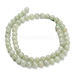Natural Myanmar Jade/Burmese Jade Beads Strands&nbsp;G-L642-B11-6mm