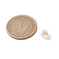 Natural Trochus Shell Chip Charms&nbsp;PALLOY-JF03437-01