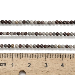 Natural Red Dendritic Jasper Beads Strands&nbsp;G-Z116-A27-2mm