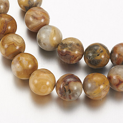 Natural Crazy Lace Agate Round Bead Strands&nbsp;X-G-M272-03-8mm