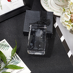 Transparent Glass Display Decorations&nbsp;DJEW-WH0010-42