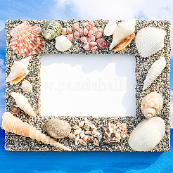 1550Pcs Natural Spiral Shell Beads&nbsp;SSHEL-DC0001-04