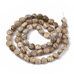 Natural Picture Jasper Beads Strands&nbsp;G-S363-060