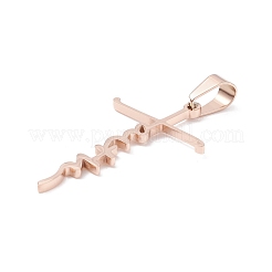 304 Stainless Steel Pendants Ion Plating(IP)&nbsp;STAS-D179-13RG