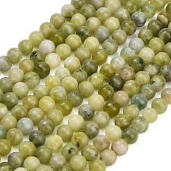 Natural Chinese Jade Southern Jade Beads Strands&nbsp;G-Z158-A01-6mm
