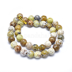 Natural Yellow Opal Beads Strands&nbsp;G-I213-18-10mm
