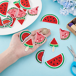 20Pcs 4 Styles Watermelon Nylon Computerized Embroidery Cloth Iron on/Sew on Patches&nbsp;DIY-HY0002-87