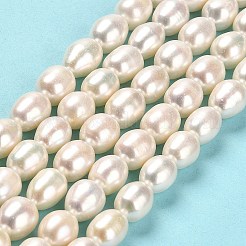 Natural Cultured Freshwater Pearl Beads Strands&nbsp;PEAR-E016-193