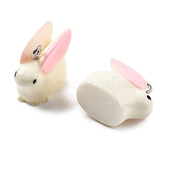 (Defective Closeout Sale)Opaque Resin Pendants&nbsp;RESI-XCP0001-28