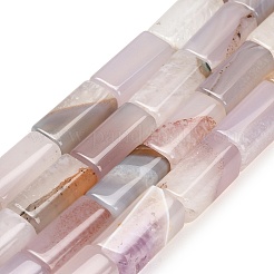 Natural Agate Beads Strands&nbsp;GG-L001-H01-02F
