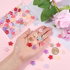 DIY Jewelry Making Kits&nbsp;DIY-YW0013-06