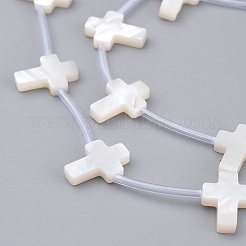 Natural White Shell Mother of Pearl Shell Beads&nbsp;SSHEL-L018-009