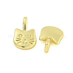 Rack Plating Brass Pendants&nbsp;KK-U021-11A-G