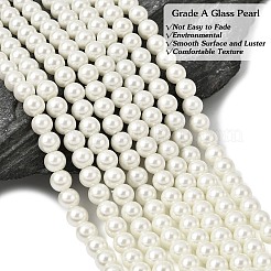Eco-Friendly Dyed Glass Pearl Beads Strands&nbsp;HY-A008-6mm-RB002