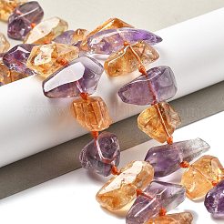 Natural Ametrine Beads Strands&nbsp;G-C179-C01-01