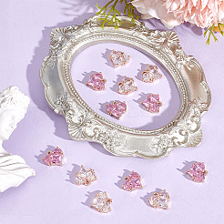 12Pcs 2 Colors Brass Charms&nbsp;KK-HY0004-08
