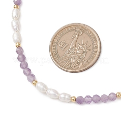 Faceted Round Natural Amethyst and Rice Natural Pearl Beaded Necklaces for Women&nbsp;NJEW-JN05816-03