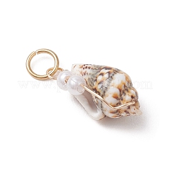 Natural Spiral Shell Pendants&nbsp;PALLOY-JF05044