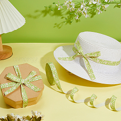 Cotton and Linen Ribbon&nbsp;SRIB-WH0012-13B