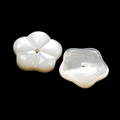 Natural White Shell Beads&nbsp;BSHE-G034-29