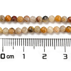 Natural Crazy Lace Agate Beads Strands&nbsp;G-K020-3mm-29