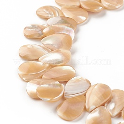 Natural Trochid Shell/Trochus Shell Beads&nbsp;SSHEL-T012-17