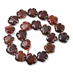 Natural Brecciated Jasper Beads Strands&nbsp;G-C220-E02-20mm