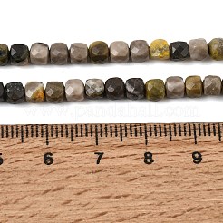 Natural Bumblebee Jasper Beads Strands&nbsp;GG-CBA0C5B-A04