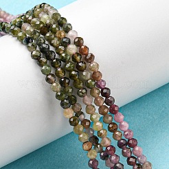 Natural Multicolor Tourmaline Beads Strands&nbsp;G-G0005-C04