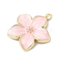 Alloy Enamel Pendants&nbsp;FIND-C079-03G-02