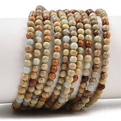 Natural Aqua Terra Jasper Beads Strands&nbsp;G-E444-14B-3mm