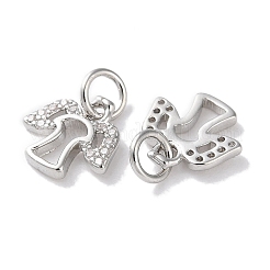 Rack Plating Brass Micro Pave Clear Cubic Zirconia Pendants&nbsp;KK-Z039-14P
