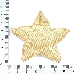 Alloy Big Pendants&nbsp;X-FIND-I074-01MG-01