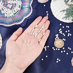 2 Strands Shell Pearl Bead Strands&nbsp;BSHE-HY0001-02