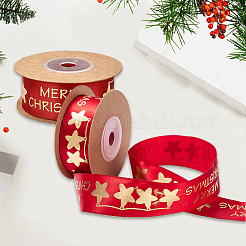 Polyester Ribbon&nbsp;SRIB-P018-B02