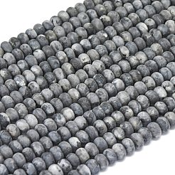 Natural Larvikite Beads Strands&nbsp;G-P575-A38-6x4mm