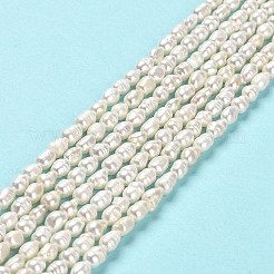 Natural Cultured Freshwater Pearl Beads Strands&nbsp;PEAR-E016-151
