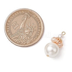 Shell Pearl Pendants&nbsp;PALLOY-TA00214