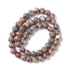 Natural Aqua Terra Jasper Beads Strands&nbsp;G-K317-A02