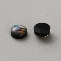 Natural Paua Shell & Acrylic Cabochons&nbsp;SHEL-WH0012-001