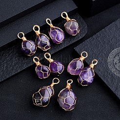 Wire Wrapped Natural Amethyst Pendants&nbsp;PW-WG0D471-01