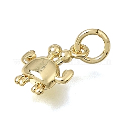 Brass Charms&nbsp;KK-CBAEEA8-22G