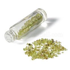 Gemstone Chip Bead Roller Ball Bottles&nbsp;AJEW-H101-01