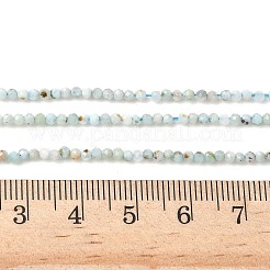Natural Larimar Beads Strands&nbsp;G-L627-A01-2mm